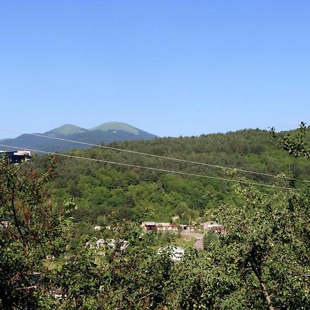 Dilijan Town Inn Extérieur photo