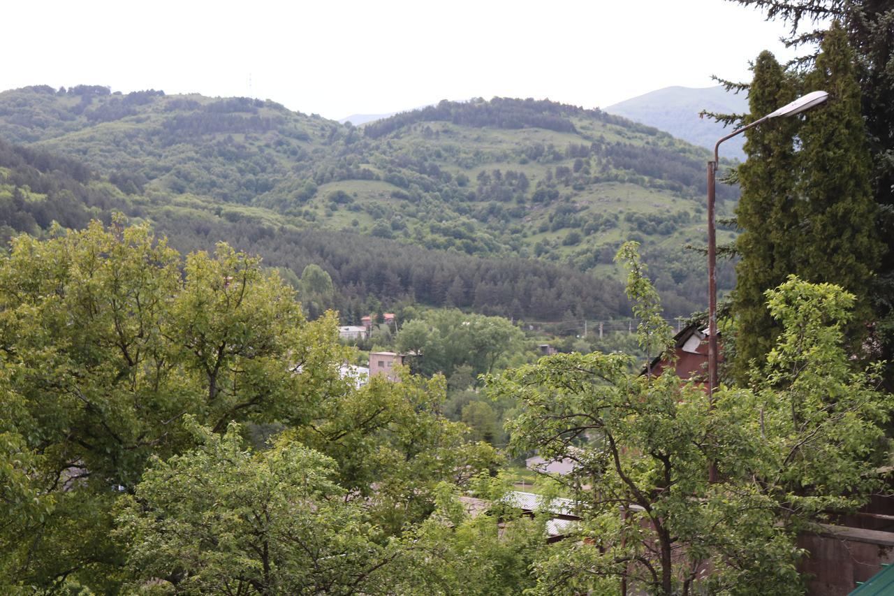 Dilijan Town Inn Extérieur photo