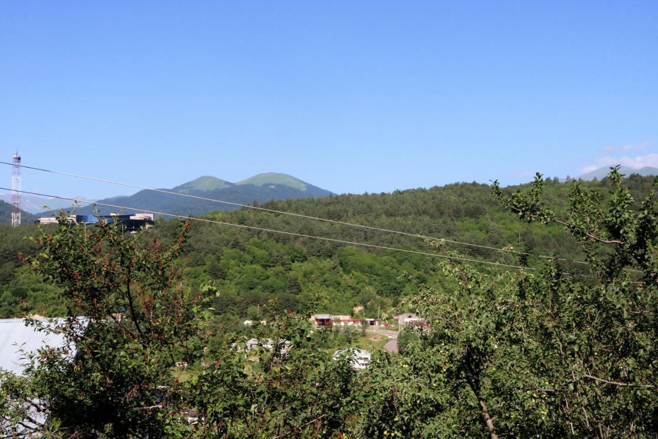 Dilijan Town Inn Extérieur photo